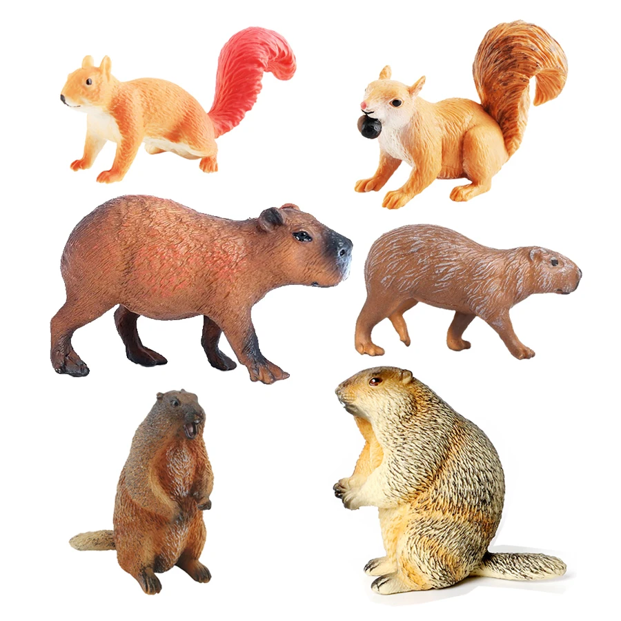 Capibara Capybaras กระรอก Marm - Kids Toys Reviews บทวิจารณ์และราคา